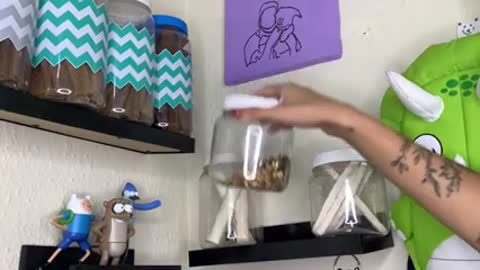 Tour pelo meu cantinho