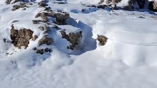 Snowy Badlands