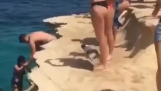 cat directly jumps into water