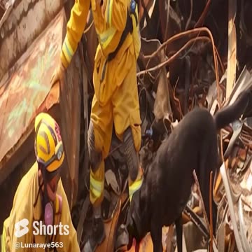 Police Officer Kelly Korchak: NYPD