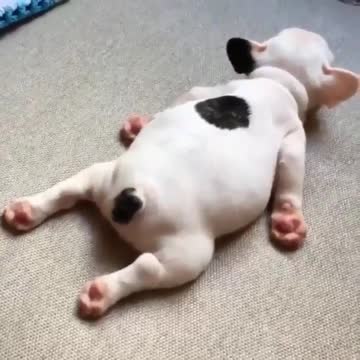 The life is so wonderful, I so am actually hot tempered, like this is not good, is not good