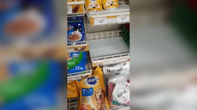 Viral: Stray Cat Leads Locals To Shop Cat Food Shelf