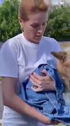 Vídeo mostra Ana Hickmann resgatando Joaquim, cão que a defendeu do ex-marido