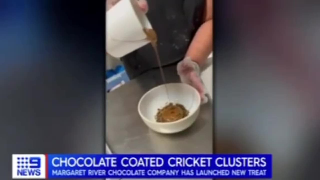 Australian chocolate factory begins producing chocolate-covered larvae