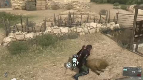 MGS V - recruiting solid sheep