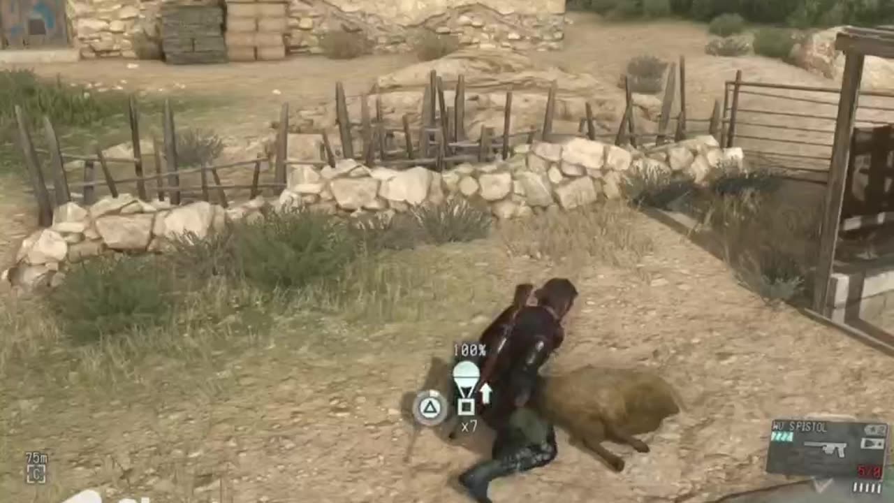 MGS V - recruiting solid sheep