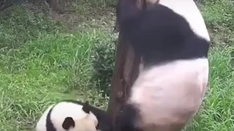 Mum Please don't be angry I sorry!!!!