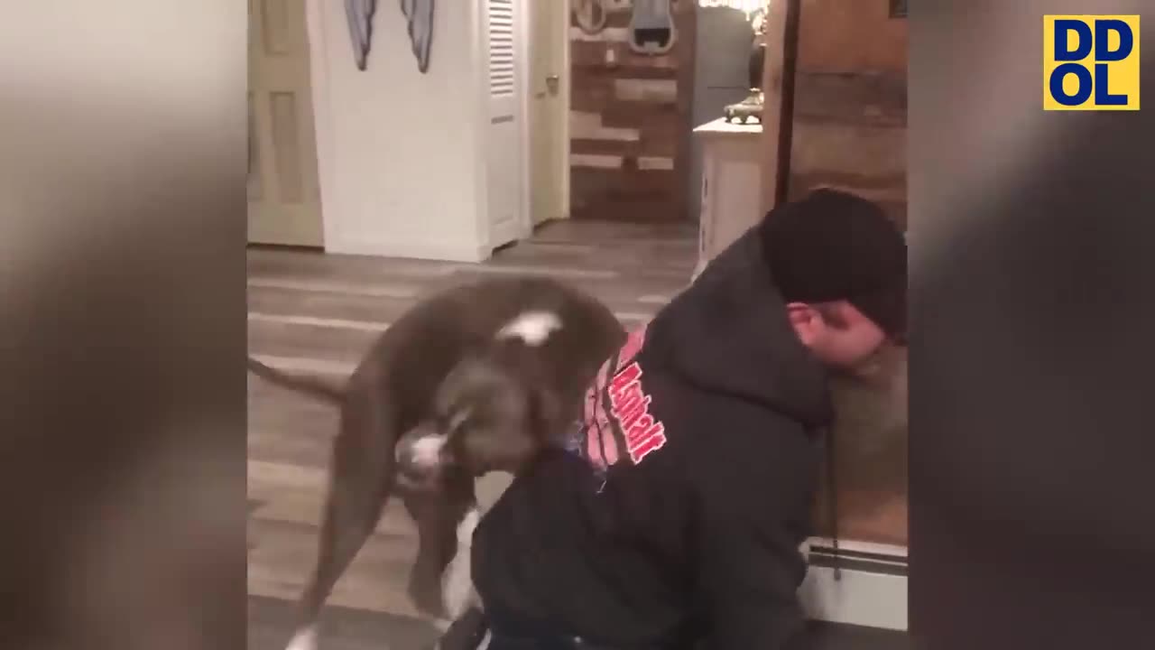 Prank with a lot of laughing