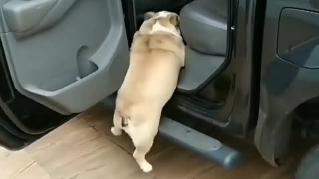 Ops