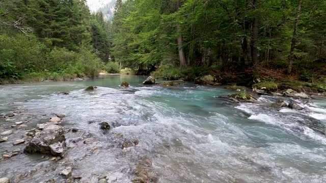 Relaxation | Meditation | Calming Rivers | Soothing Video