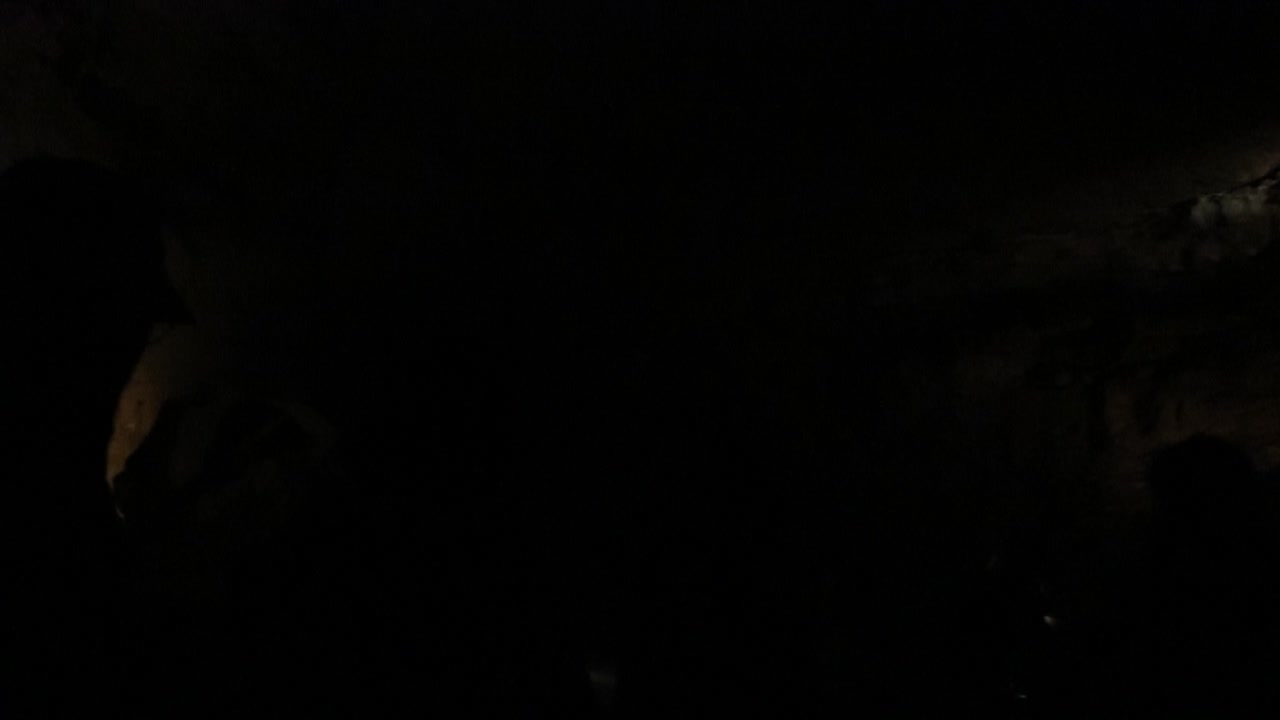 Riding a Boat in an Underground Cave - Lost River Cave