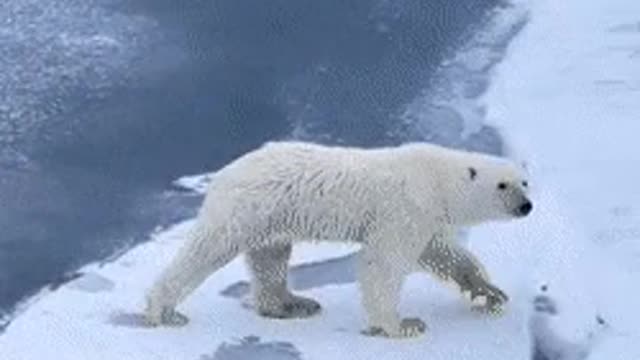 how to cross ice water
