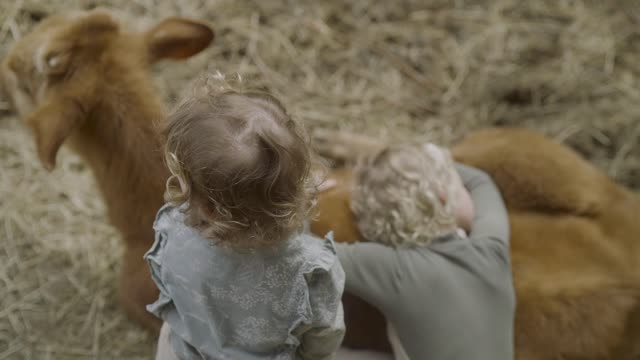 CHILDREN CARESSING THE SHEEP