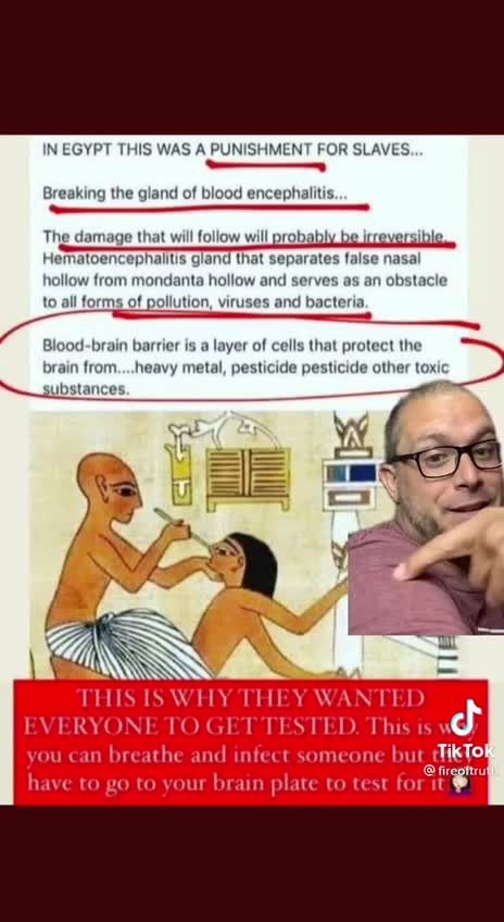 “PCR”_這“科學印證薄弱”的（強制）檢測，對人民的傷害、壓力概念，極有可能運用_源自“古埃及”對“奴隸的懲罰punishment for slaves”手法～