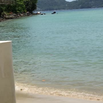 Swimming with wild elephants