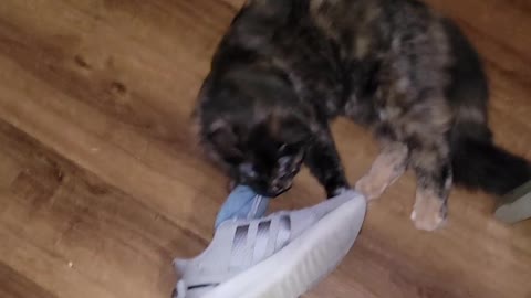 Boots loves shoes