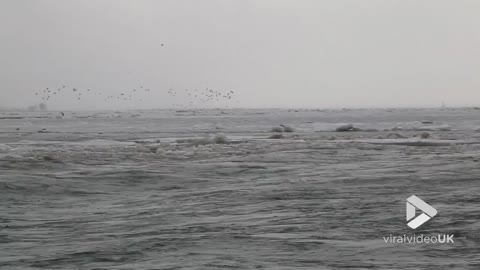 Ice tsunami in Ontario