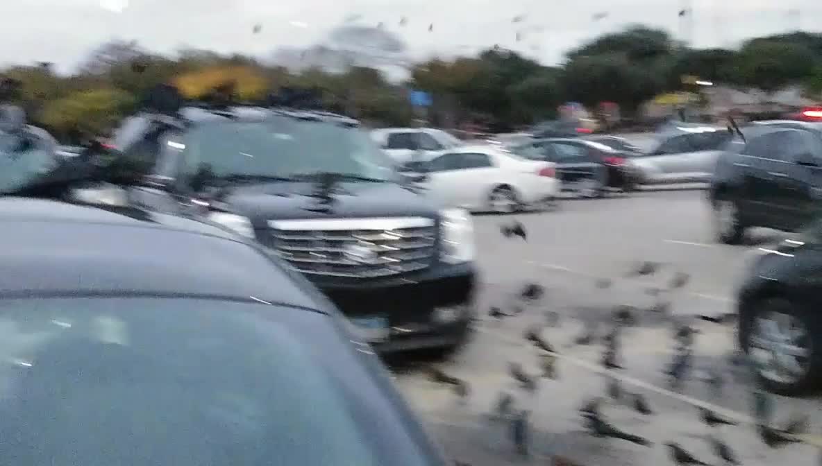 Carpark Crow Convention