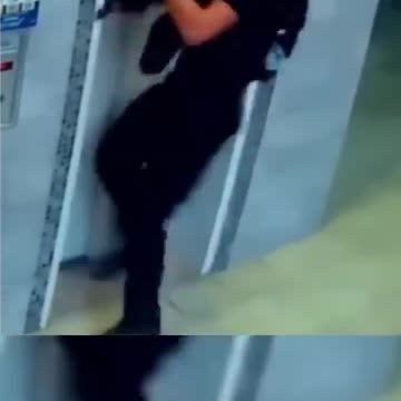 OMG! My breath stoped for a second ! Dog life saved...