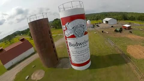 Budweiser