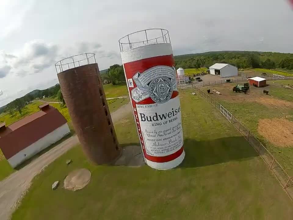 Budweiser