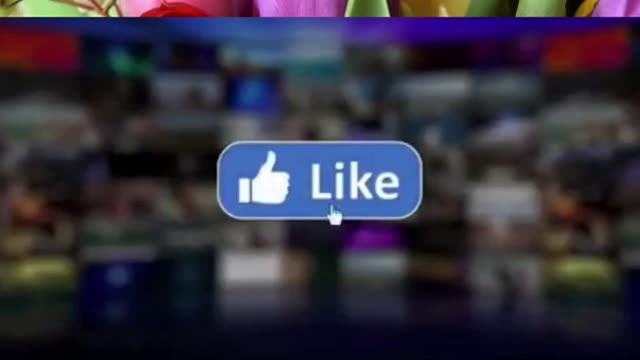 Top funny and cute dog videođź’–