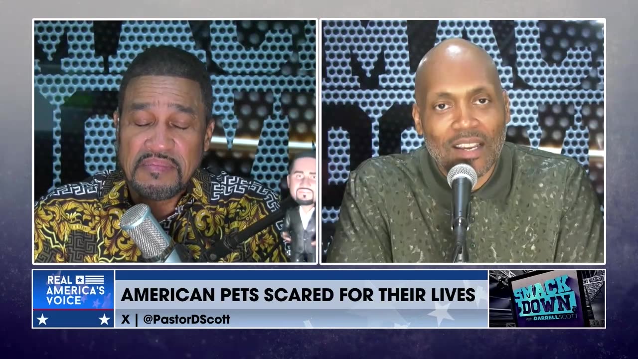 American Pets Are Scared For Their Lives!