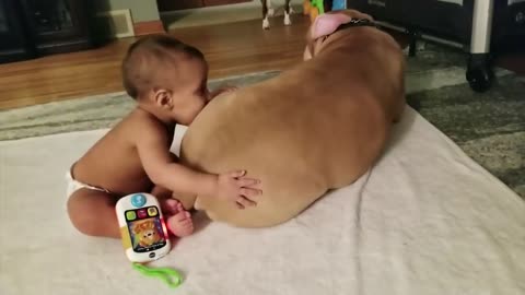 Children and dogs are friends forever