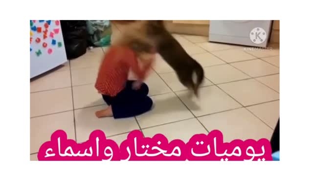 Stressed cat takes revenge on a child. Very funny clip!