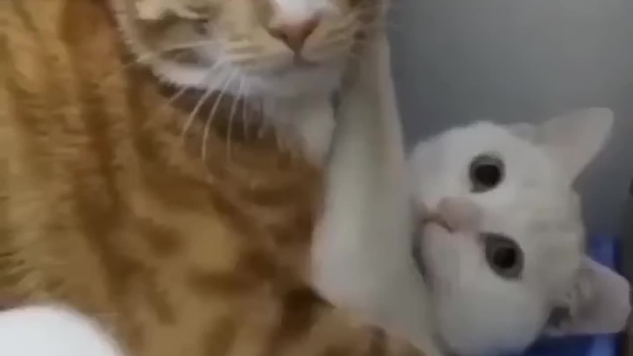 UPSSSS MY LOVE