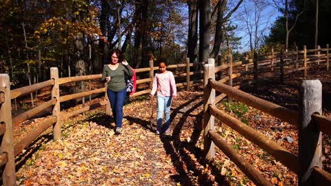November walk
