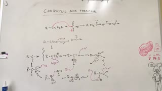 Carboxylic Acid Reactions & Formation