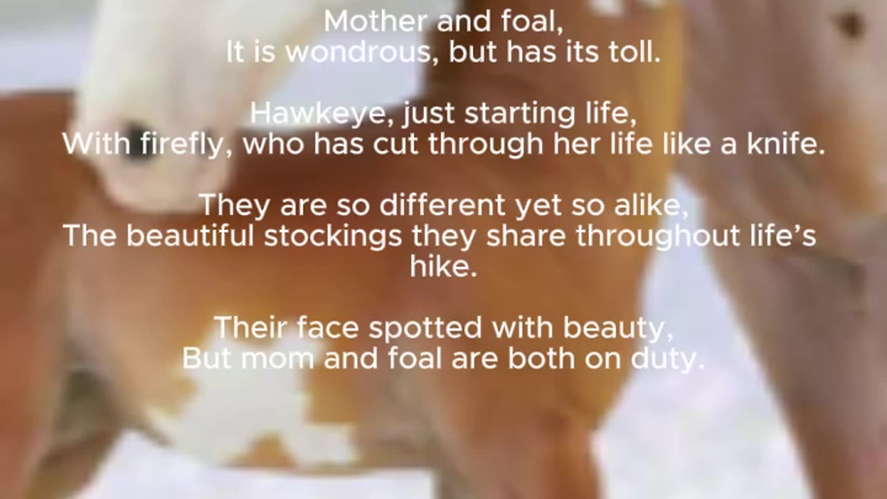 Breyer poem!