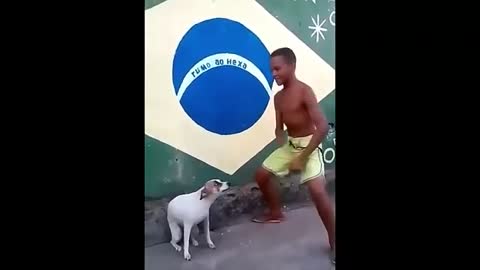 lindo perrito bailando