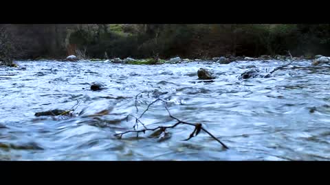 In The River - Mini Video Nature Life