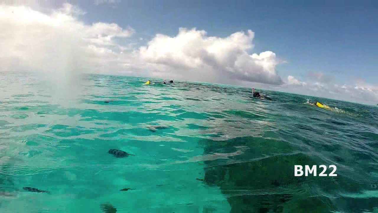 Diving In Bora Bora French Polynesia