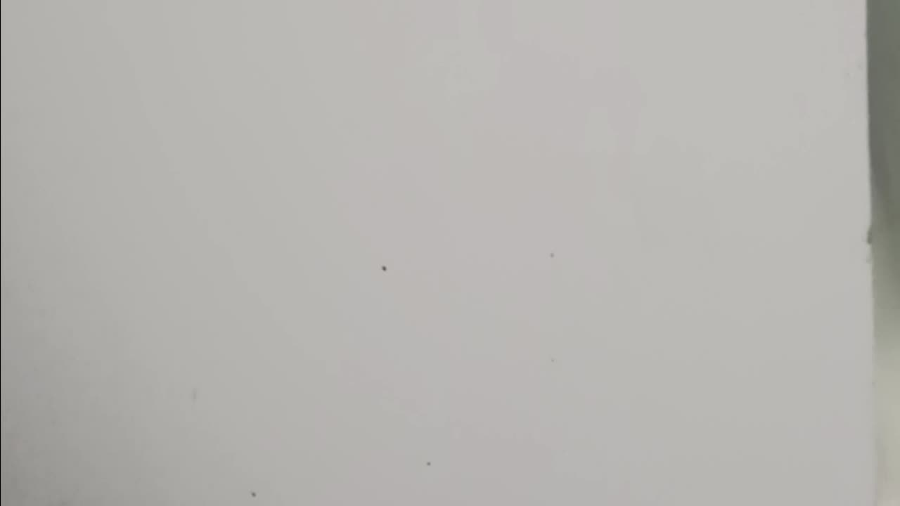 Adams admin makes revised request to suspend shelter mandate, drawing swift backlash from advocates