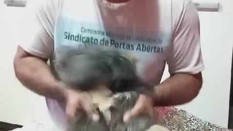 BELA NA BATERIA
