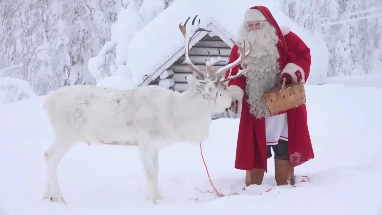 Christmas Fun