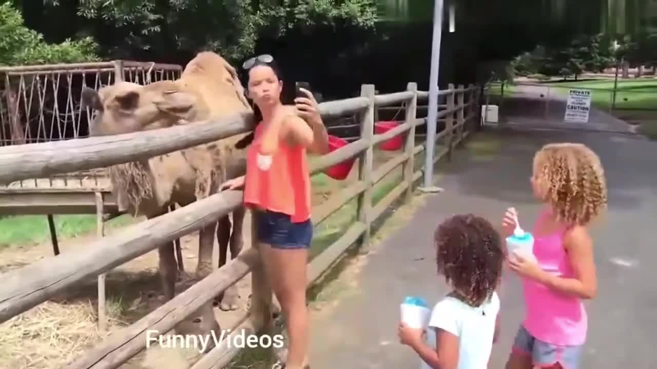 Hot girls vs Animals-Funny Animals vs Humans video