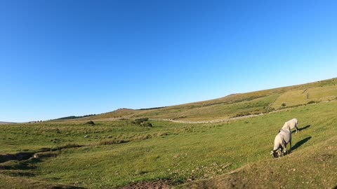 GoPro filming through the passenger window. Driving past Belever Tor. DARTMOOR