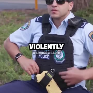 Warrior Wealth - Is Superwog based_