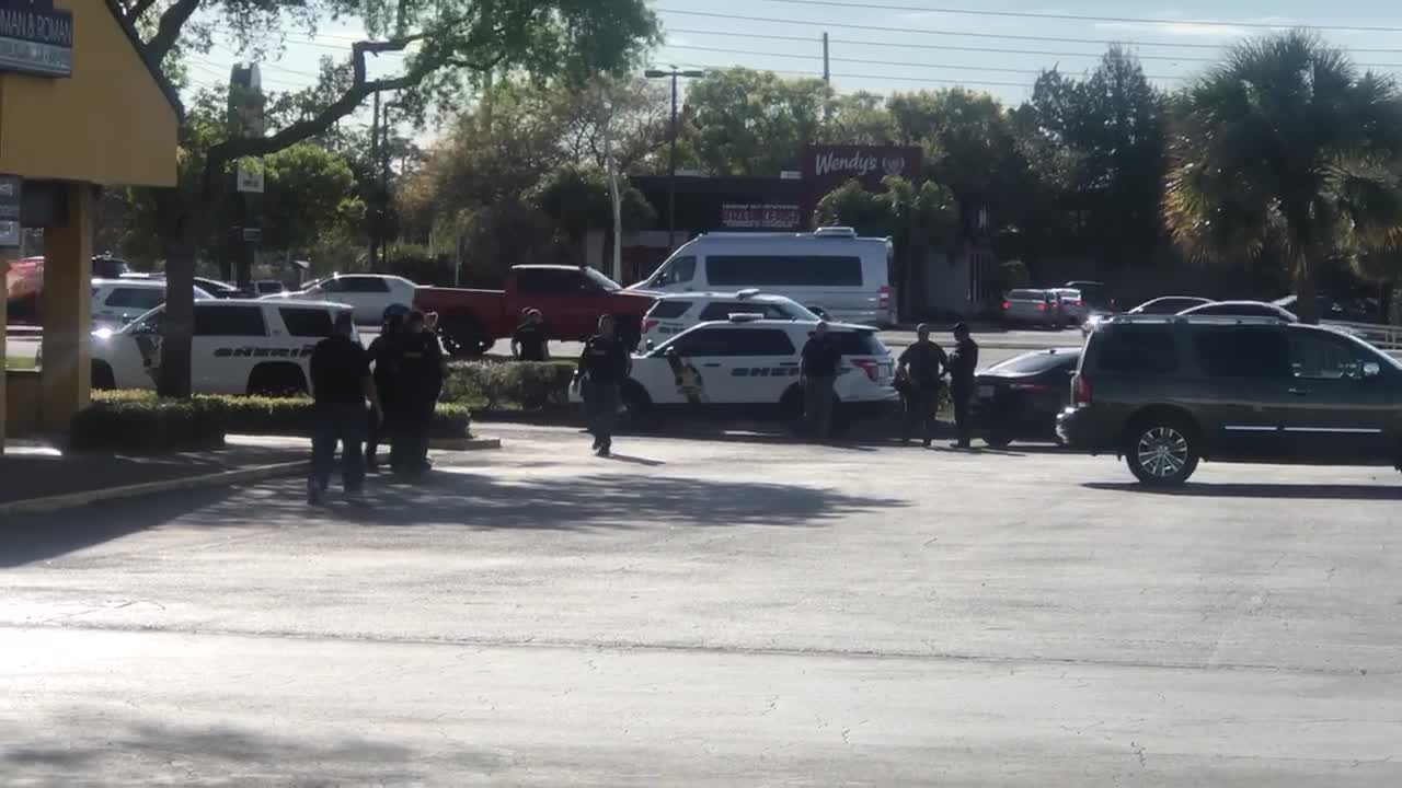 Pasco County Car Theft