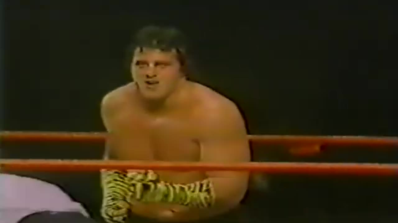 Brutus beefcake vs. Jim powers