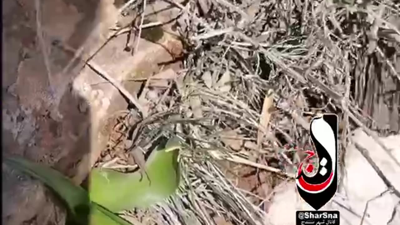 nature tour