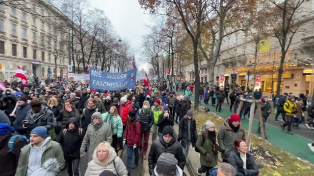 Demonstration Wien 11. Dezember 2021