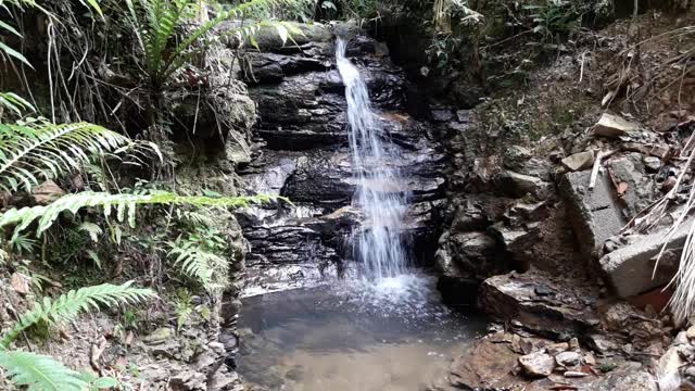 HIDDEN BEAUTIES OF BRAZIL 1