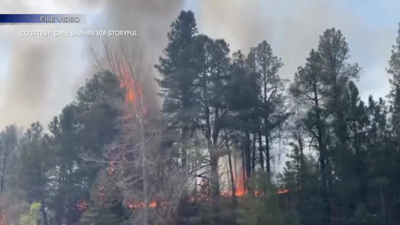Recovery from Hermits Peak-Calf Canyon Fire continues