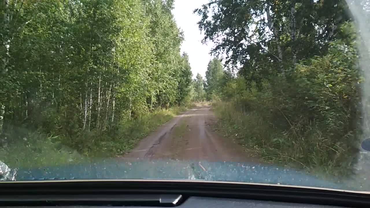 Race on the fields.