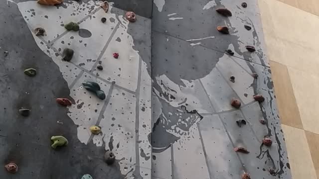 5 year old kid completing indoor rock climbing till top.